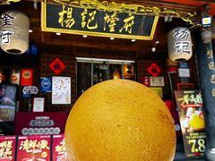 -杨记隆府(重庆总店)