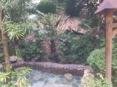 -韶关经律论国际酒店温泉