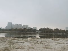 -滨湖塘西河公园