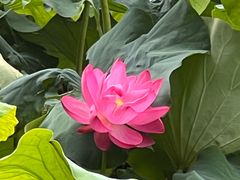-莲池书院博物馆