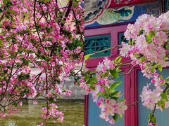 -元大都城垣遗址公园