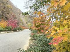 -大连天门山国家森林公园