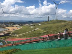 -龙里油画大草原旅游区