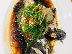 清蒸石斑鱼-泰华海鲜中餐厅(普吉镇店)