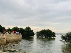 -宝安西湾红树林湿地公园