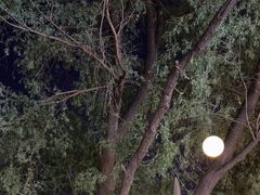 -鑫釜山海鲜烧烤(浑南店)