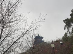 -杭州半山国家森林公园