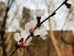 -滨河世纪广场公园
