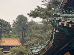 -潭柘寺景区