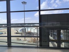 -肯德基(虹桥机场T2北指廊精选外卖点店)