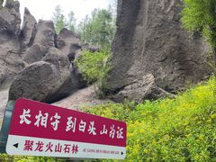 -峡谷浮石林景区