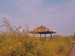 -西青郊野公园