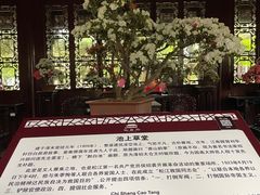-上海醉白池公园
