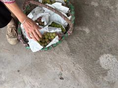 -马陆小张葡萄园农家乐