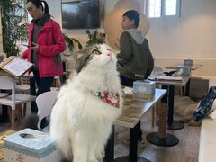 -小时光咖啡馆(北锣鼓巷店)