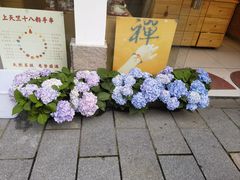 -杭州上天竺法喜讲寺