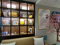 -美健盛世·美容SPA连锁