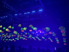 -三亚千古情景区游客中心-接待中心