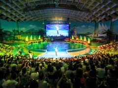 -海合安武汉极地海洋公园