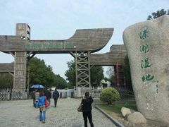 -溱湖国家湿地公园