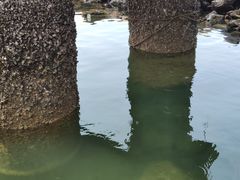 -沙扒湾