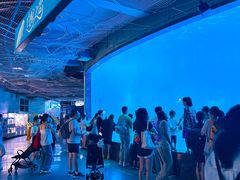 -海合安成都极地海洋公园
