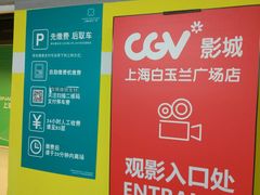 -白玉兰广场停车场