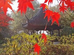 -上海醉白池公园