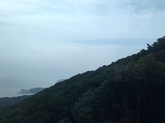 -普陀山风景名胜区-法雨禅寺