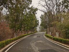-棒棰岛宾馆景区