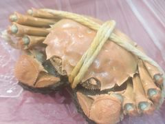 -小陆莲花蟹园农家乐(莲花岛店)