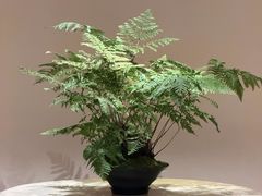 -成都天府丽都喜来登饭店