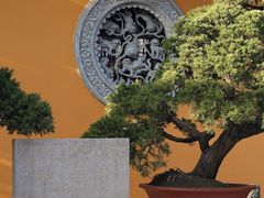 -龙华寺