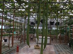 -祥源·阜阳生态乐园