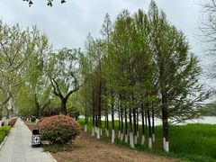 -云龙湖旅游景区