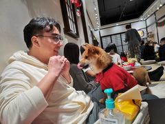 -逗柴咖啡屋·狗咖猫咖宠物桌游