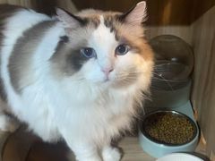 -白兔子密室(长寿路店)