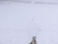 -武陵山森林公园