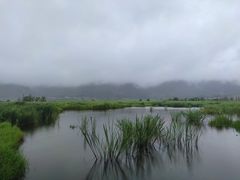-腾冲北海湿地
