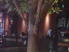 -同仁四季椰子鸡(宝安壹方城店)