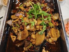 -沈姐万州烤鱼(沙坪坝七中店)