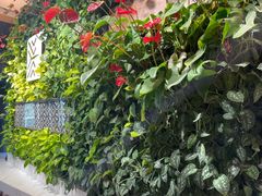 -Peet's Coffee皮爷咖啡(大学路店)