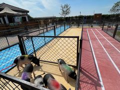 -太阳岛度假酒店