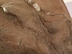 -石林冰雪海洋世界