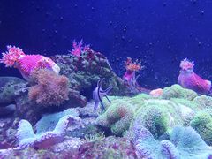 -成都浩海立方海洋公园