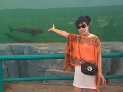 -北戴河圣蓝海洋公园