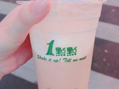 -靓蛙馆