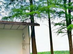 -南宁良凤江国家森林公园