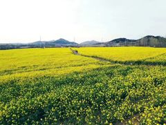 -西海岸生态观光园