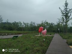 -东郊湿地公园